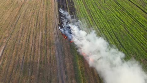 Aerial-reverse-footage-of-a-burning-grass-and-white-smoking-rising,-Grassland-Burning,-Pak-Pli,-Nakhon-Nayok,-Thailand