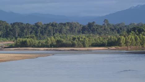 Tilt-up-over-gentle-Tambopata-River,-small-forested-island,-Peru
