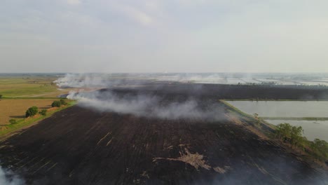 Aerial-footage-over-a-charred-farmland-after-being-burnt-while-the-smoke-is-still-rising,-Grassland-Burning,-Pak-Pli,-Nakhon-Nayok,-Thailand