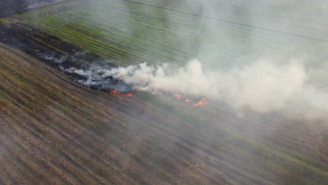 Aerial-footage-towards-a-rising-smoke-of-burning-grass,-Grassland-Burning,-Pak-Pli,-Nakhon-Nayok,-Thailand