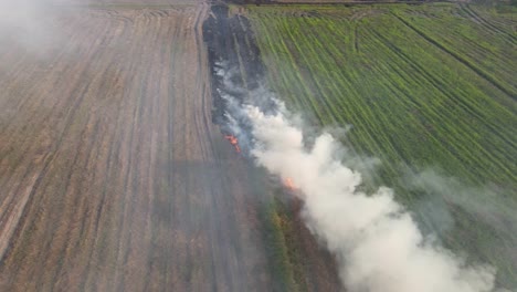 Steady-aerial-footage-as-smoke-rises-from-a-burning-grass-at-a-farmland-in-Pak-Pli,-Nakhon-Nayok,-Thailand