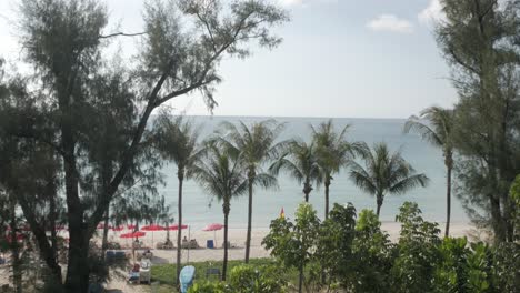 aerial-view-of-the-patong-beach-with-palm-tree-and-greenery-tree-with-calm-peacful-sea-view-in-summer-daytime
