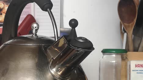 Real-time-whistling-kettle-with-skull-lid-appliance-boiling-steam-vapor-on-kitchen-stove