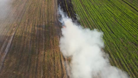 Aerial-footage-sliding-to-the-left-of-a-row-of-grass-burning-and-creating-white-polluting-smoke,-Grassland-Burning,-Pak-Pli,-Nakhon-Nayok,-Thailand