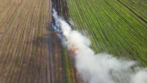 Aerial-footage-of-smoke-blown-by-the-wind-a-potential-pollution-of-the-air-as-farmers-burn-grass-to-ready-the-land-for-planting,-Grassland-Burning,-Pak-Pli,-Nakhon-Nayok,-Thailand