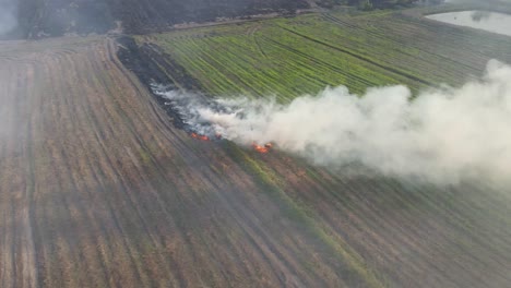 Aerial-footage-of-this-burning-farmland-getting-ready-for-planting-but-contributes-to-air-pollution,-Grassland-Burning,-Pak-Pli,-Nakhon-Nayok,-Thailand