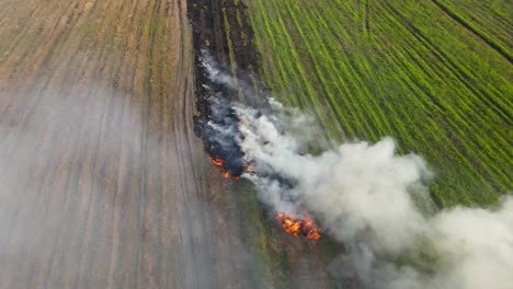 Steady-aerial-footage-revealing-a-burning-and-smoking-part-of-a-farmland-in-Pak-Pli,-Nakhon-Nayok,-Thailand