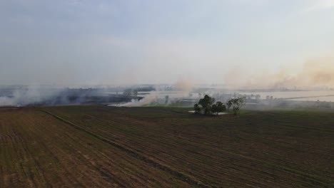 Aerial-descending-footage-from-a-distance-of-grass-burning-and-smoke-blown-by-the-wind-to-the-right,-Grassland-Burning,-Pak-Pli,-Nakhon-Nayok,-Thailand