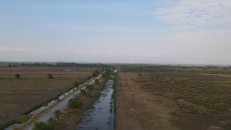 Aerial-footage-sliding-to-the-left-revealing-a-Eucalyptus-forest-and-the-dirt-farm-road-with-irrigation-canals,-Pak-Pli,-Nakhon-Nayok,-Thailand