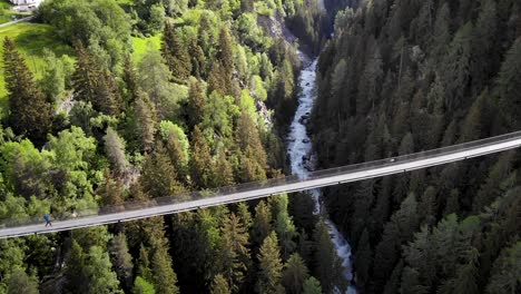 Luftaufnahme-Entlang-Der-Goms-Hängebrücke-Mit-Einem-Wanderer,-Der-Hoch-Oben-über-Dem-Rhonetal-Im-Wallis,-Schweiz,-Hoch-Oben-über-Dem-Fluss-Und-Den-Bäumen-Spazieren-Geht
