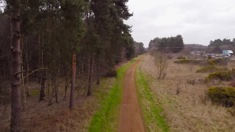 Tilt-up-video-of-a-gravel-pathway-on-the-outskirts-of-the-Thetford-forest,-Brandon-United-Kingdom