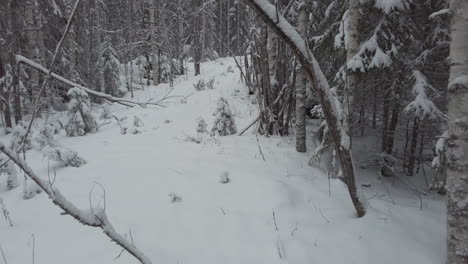 Pov-Wandern-Auf-Einem-Verschneiten-Waldweg-Unter-Gebogenen-Bäumen