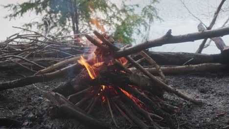 Orange-Flames-From-Wood-Sticks-At-Campfire-Beside-River