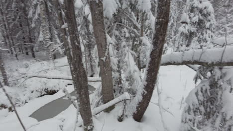 Fpv-Zu-Fuß-Unter-Schneebedeckten-Bäumen