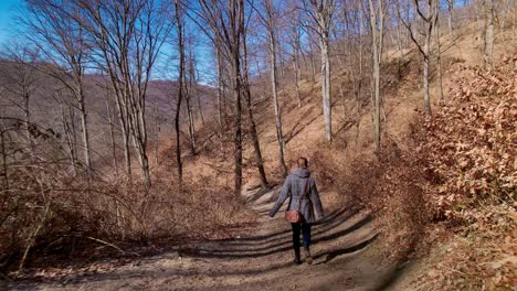 Wide-angle-long-shot-of-woman-walking-on-the-forest-path,-handheld