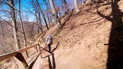 Long-shot-of-woman-walking-alont-the-mountainous-trail