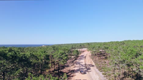 Drone-flying-up-at-a-forest-in-Alentejo,-Portugal
