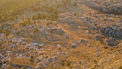 Luftaufnahme-Von-Grünen-Bäumen-über-Dem-Berg-Tlaloc-In-Mexiko-Mit-Sonnenstrahlen-Sonnenuntergang