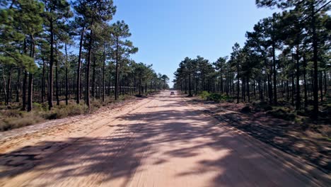 Dirt-road-at-a-forest-in-Alentejo,-Portugal