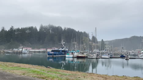 Winchester-Bay,-Oregon.-Seagull-bird-flying-through-scene