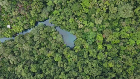 Luftbild-Von-Tropischen-Wäldern-Luftbild-Von-Tropischen-Bäumen