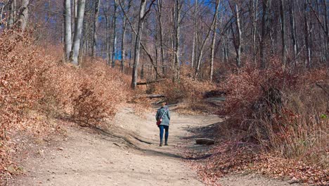 Woman-walking-on-the-woods