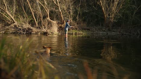 Brown-dog-jumps-in-water-and-swims-over-to-male-fly-fisherman-standing-in-stream-casting-his-rod-in-slow-motion