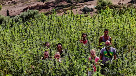 Abenteuertouristen,-Die-Auf-Dem-Marihuanafeld-In-Marokko-Herumstreifen