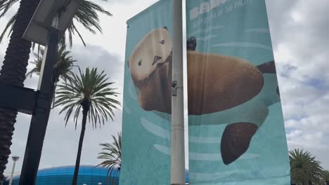 Aquarium-Of-The-Pacific-In-Long-Beach,-California