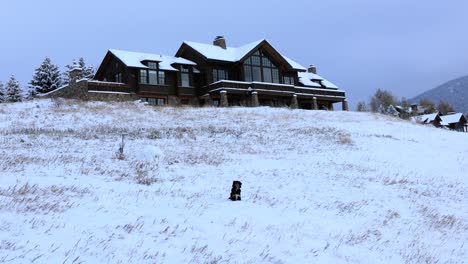 Hund-Sitzt-Wunderschön-Vor-Herrenhaus-Auf-Schneebedecktem-Hügel-In-Montana-4k-Zeitlupe