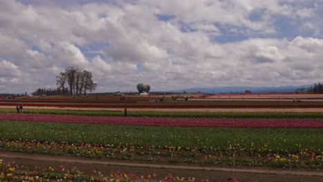 Familia-Y-Amigos-Explorando-La-Granja-De-Tulipanes-De-Zapatos-De-Madera-Cerca-De-Portland-Oregon-En-Plena-Floración