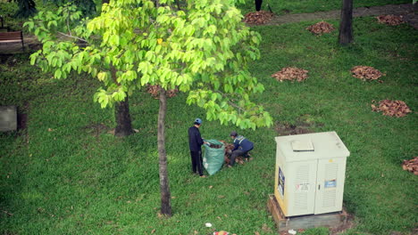 Aerial-view-of-workers-put-dry-fallen-leaves-into-bag