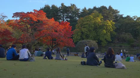 Herbstfarben-In-Einem-Japanischen-Park-An-Einem-Sonnigen-Tag-Mit-Menschen,-Die-Sich-Auf-Dem-Gras-Entspannen-Und-Ausruhen