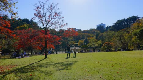 Herbstfarben-In-Einem-Japanischen-Park-An-Einem-Sonnigen-Tag-Mit-Menschen,-Die-Sich-Auf-Dem-Gras-Entspannen-Und-Ausruhen