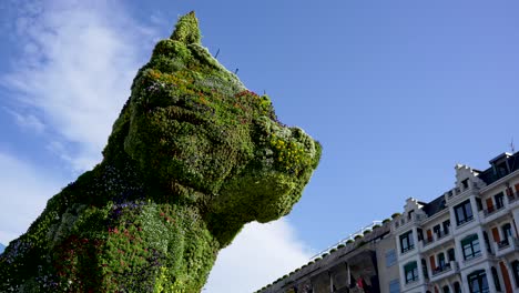 Puppy-sculpture-by-Jeff-Koons-outside-the-Guggenheim-Museum-with-residential-buildings-nearby,-Wide-looking-up-shot