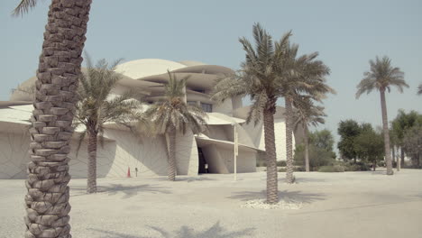 Museum-exterior-with-palm-trees
