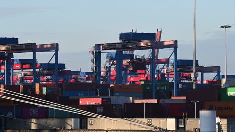 Container-carriers-driving-unmanned-with-shipping-containers-at-terminal,-speed-up,-daylight,-slow-zoom-out,-economy,-market,-import,-export