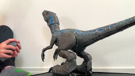 Juguete-De-Dinosaurio,-Velociraptor-Azul-Interactuando-Con-El-Niño