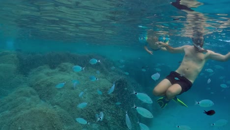 Underwater-slow-motion-scene-of-father-and-child-swimming-in-blue-tropical-sea-water-surrounded-by-shoal-of-fish