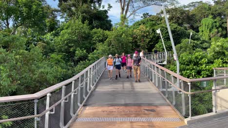 Besucher-Des-Neu-Eröffneten-Naturparks-„Rifle-Range“-In-Singapur