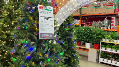 Home-Depot-Weihnachtsausstellung-Mit-Weihnachtsbäumen,-Lichtern,-Kranz,-Hofdekorationen