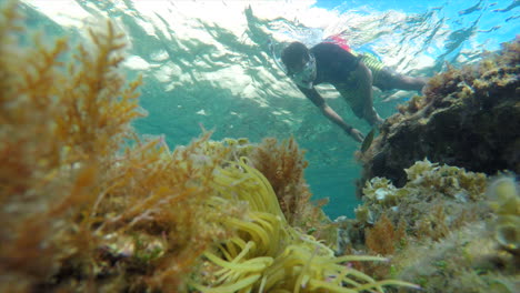 Underwater-View-Beside-Coral-In-The-Mediterranean-Sea-Of-Snorkeler-Swimming-Past