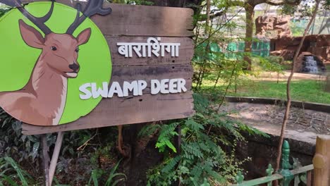 Panoramic-Video-Of-Displaying-Wooden-Name-Board-Of-Spotted-Swamp-Deer-At-Mumbai-Zoo---Camera-Moving-On