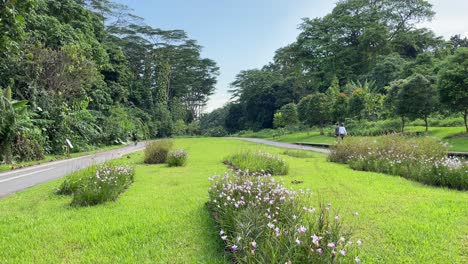 Schöne-Aussicht-Auf-Den-Erhaltenen-Grünen-Korridor-In-Bukit-Timah