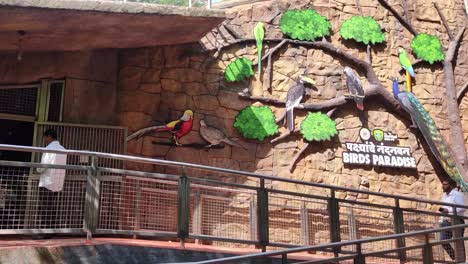 Leute,-Die-Birds-Paradise-Zone-Im-Byculla-Zoo-Mumbai-Besuchen