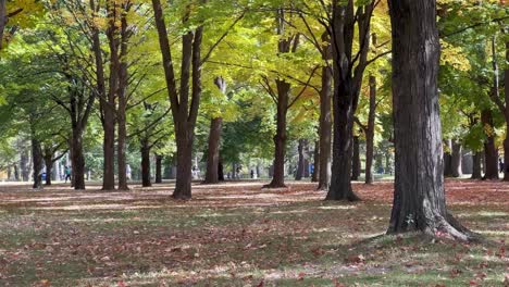 People-walk-through-High-Park-on-a-beautiful-October-day