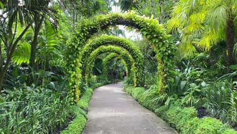 Los-Visitantes-Toman-Fotos-Y-Disfrutan-De-La-Vista-De-La-Pasarela-De-Los-Arcos-Dorados-En-El-Jardín-Nacional-De-Orquídeas-En-Los-Jardines-Botánicos-De-Singapur