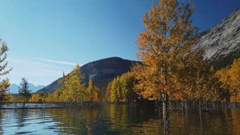 Reflejos-De-Espejo-En-El-Lago-Abraham-Durante-La-Temporada-De-Otoño-En-Alberta,-Canadá