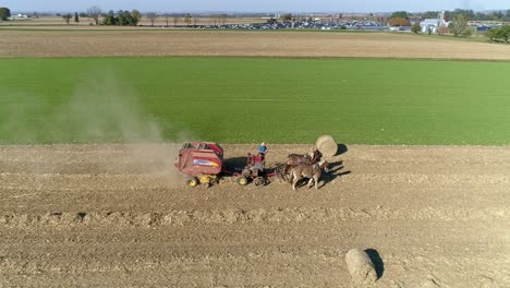Aerial-View-of-an-Amish-Man-and-Woman-Harvesting-Corn-Stalks-and-Bailing-in-Squares-with-Horse-Drawn-Equipment-on-a-Sunny-Fall-Day