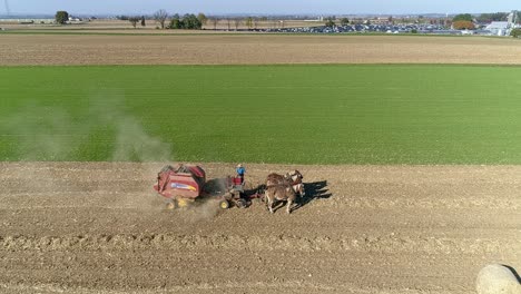 Aerial-View-of-an-Amish-Man-and-Woman-Harvesting-Corn-Stalks-and-Bailing-in-Squares-with-Horse-Drawn-Equipment-on-a-Sunny-Fall-Day